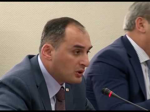 დიმიტრი ქუმსიშვილი შანხაის თავისუფალ სავაჭრო ზონას ეწვია