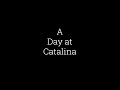 A Day at Catalina