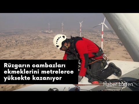 Video: Tırmanma Gülleri