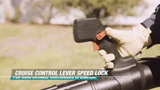 40V max ConnectX Brushless Backpack Blower