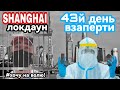 КАРАНТИН в ШАНХАЕ 2022 l 43й ДЕНЬ ВЗАПЕРТИ l ПОЛНЫЙ ЛОКДАУН l ВЛОГ#3 l Covid-19