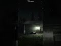 the last of us 2 #tlou2 #tlou #vibes #popular
