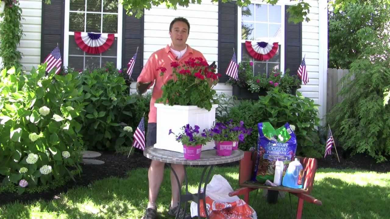 The Window Box Guy™, 732-895-6262, Healthy Plants Tips, Deck Planter Boxes, Railing Planters