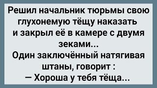 Как Начальник Тюрьмы Глухонемую Тещу Наказал! Сборник Свежих Анекдотов! Юмор!