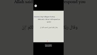 Allah Respond You