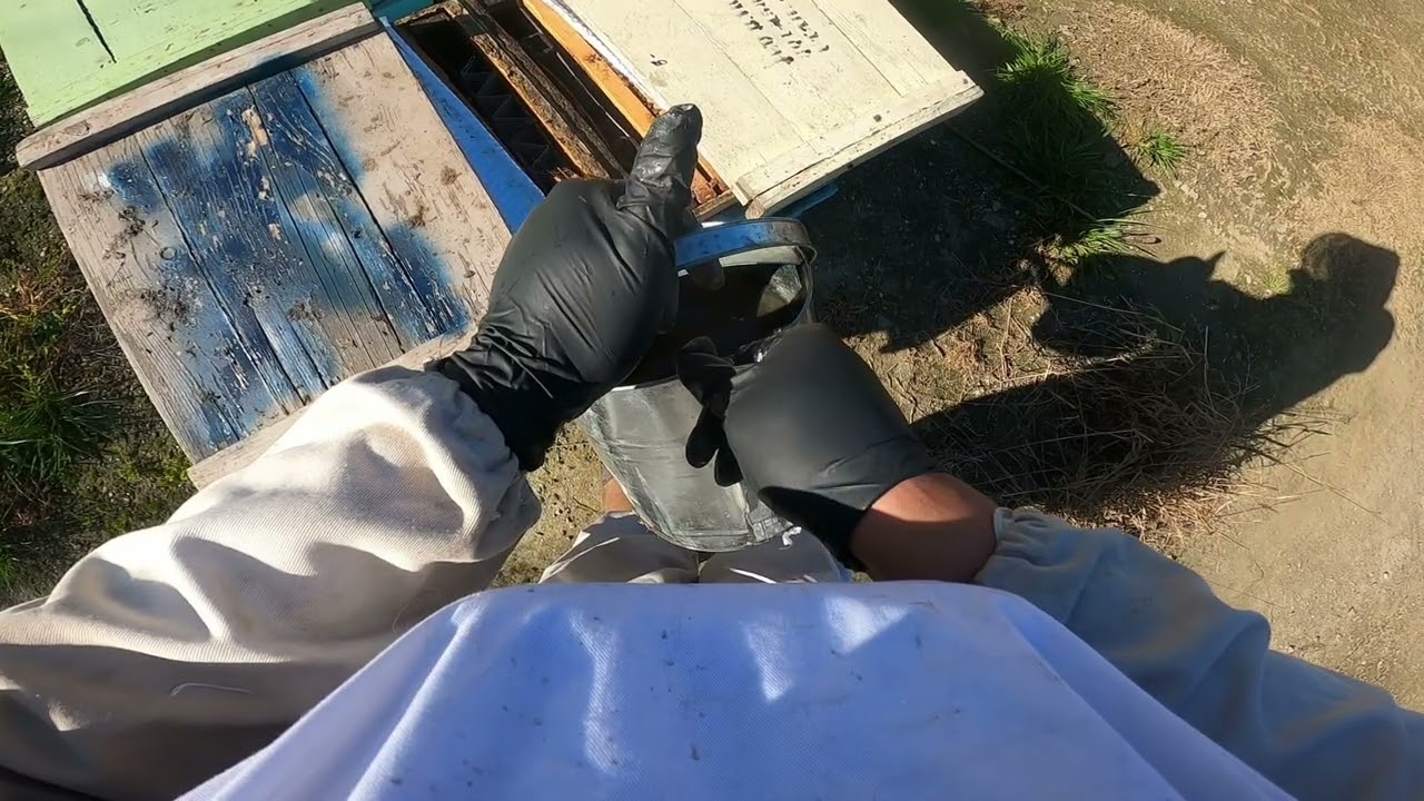 Almond Pollination 2026 - Gotta feed those hives! 