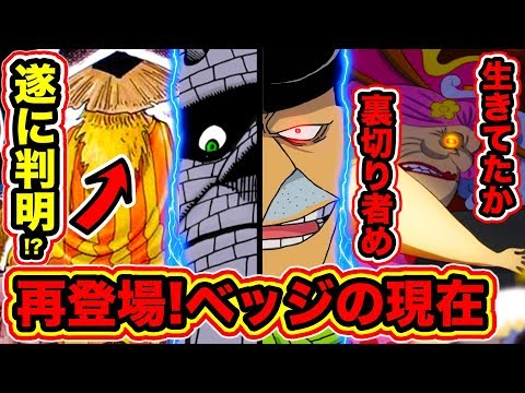 ワンピース 933話 狂死郎の能力で小紫は生きている 狂死郎の刀は悪魔の実を食べた再生能力を持つ剣 小紫の正体は光月日和だと知ってる味方説 One Piece最新話 Youtube