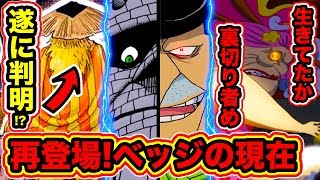 ワンピース948話ネタバレ注意 ベッジ再登場 ビッグマムを裏切ったベッジの現在 扉絵でクロッカスと酒を飲む人物の正体が遂に判明 One Piece考察 Youtube