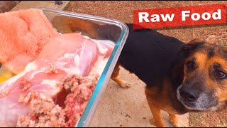 Homemade Raw Food Diet For Dogs