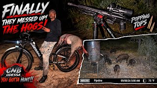 FINALLY Caught Up With the Hogs! | FIRST HOG DOWN on My Homestead! 🐗💥 | YOU GOTTA HUNT!!
