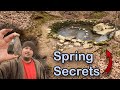 UNBELIEVABLE FIND while sifting an ANCIENT Native American Spring for Arrowheads