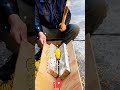 Amazing Corn Shelling Hacks Get Perfect Kernels with Ease! ✨🙌🌽