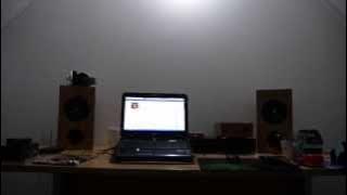 Tang Band W5 in bass reflex cabinets