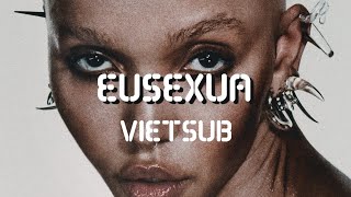 FKA twigs - Eusexua (vietsub / lyrics)