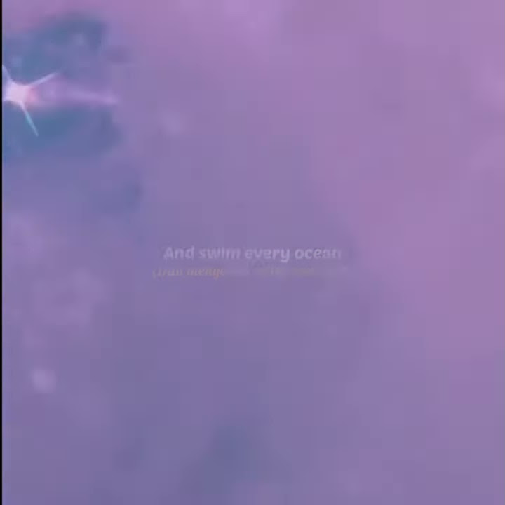 Story WA “You Are The Reason”