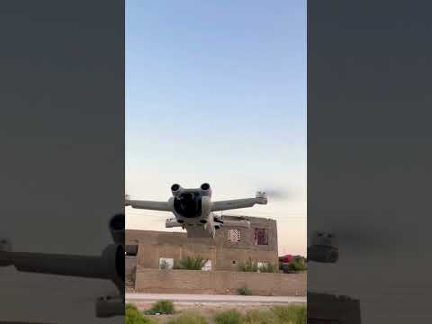 زفه عراقيه زواج مرتضى الشامي 2023 اعراس الحمار منتظر الوائلي