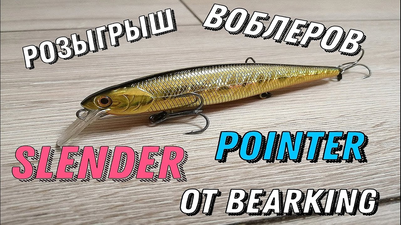 SLENDER POINTER Воблеры от BEARKING (Розыгрыш Воблеров)