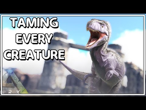 Video: Waar is megalosaurus gevind?