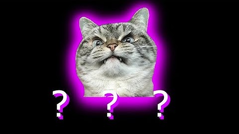 14 Angry Cat Screaming Sound Variations in 22 Seconds