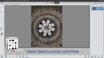 Photoshop Elements 2020 Tutorial The Cookie Cutter Tool Adobe Training