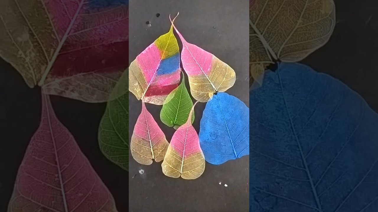 Skeleton leaf art|| colour skeleton leaves||how to make skeleton leaf