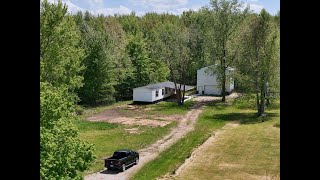 16747 Williamsville Street video tour