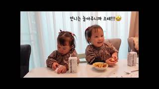 [지온이,채온이]언니의 일방적인 사랑❤️