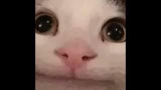 bila oyen tidak diperlukan lagi