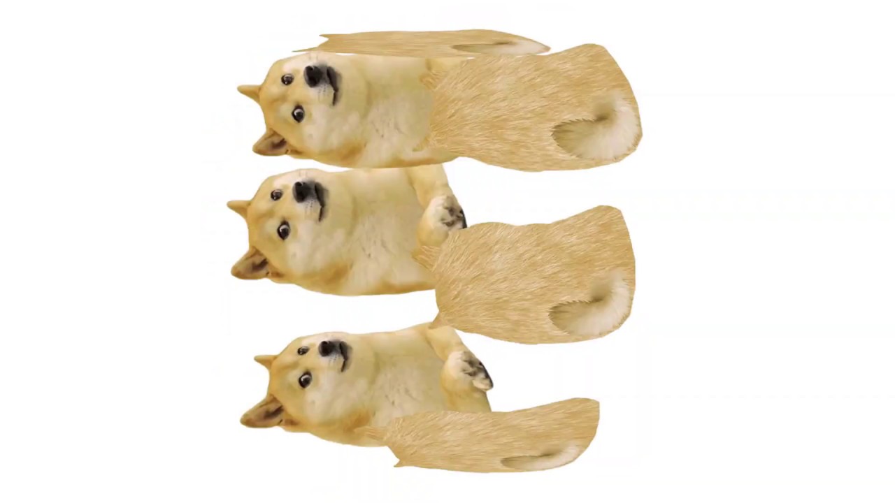 funny doge video
