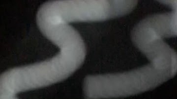 Minilogue XD: Guitar Sound (Mutable Instruments Oscillator)