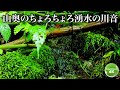 【熟睡の湧水川音】山奥から湧き出す水の音で爆睡眠してください