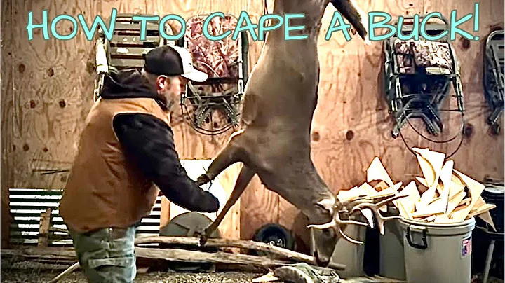 HOW TO CAPE A DEER FOR A SHOULDER MOUNT!!
