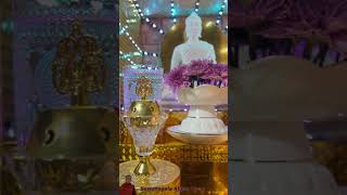     Budu Guna Kawi buduguna  buddhapuja  budugunagee buddha