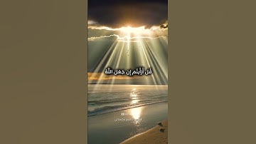 آيات من سورة القصص#إبراهيم_تركستاني #اكسبلور #قرآن #تلاوة #راحة_نفسية #تدبير #الليل #النهار #خشوع