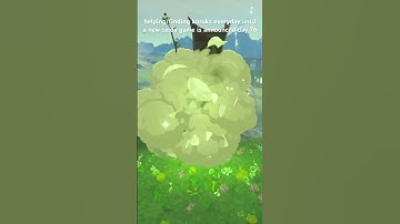 Helping/Finding a Korok everyday until a new Zelda game is announced Day 76