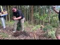 Ecotourism in Action – Planting Trees, Restoring Nature