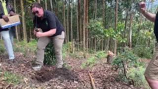 Ecotourism in Action – Planting Trees, Restoring Nature