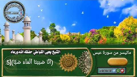 تلاوة خاشعة من سورة عبس للقارئ الشيخ الحافظ يحيى القباطي حفظه الله ورعاه