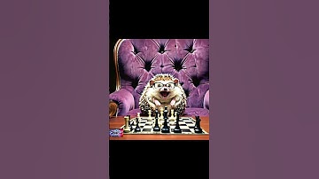 Porcupine plays chess. #cute #animals #ai #new #shorts #animal chess