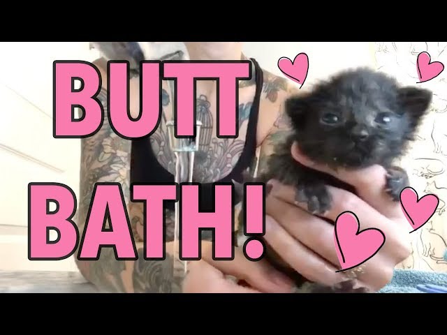 Basil Gets a Butt Bath!