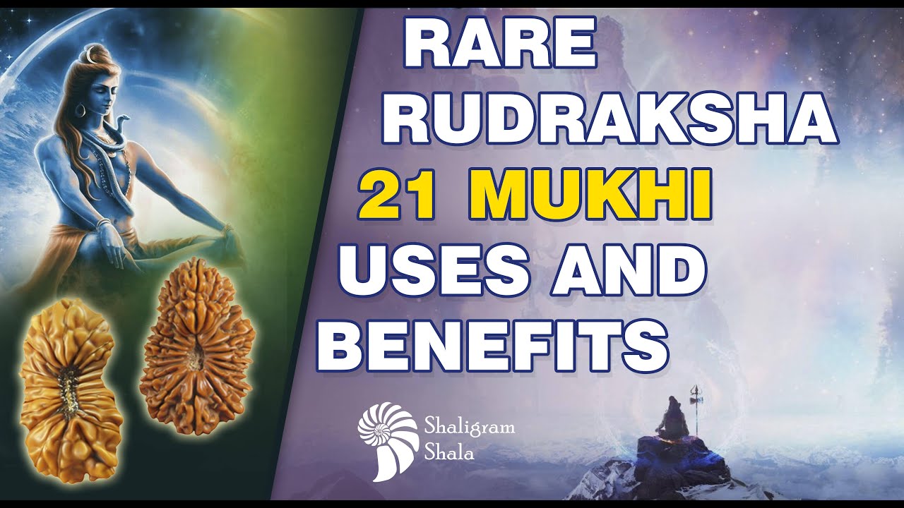 Original 21 Mukhi Rudraksha     Benefits of 21 Mukhi Rudraksha