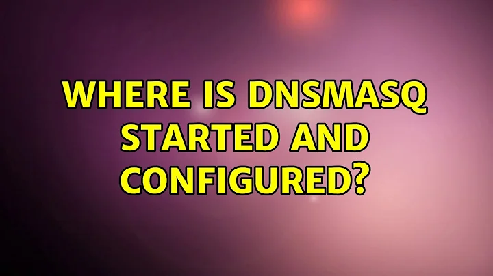 Where is dnsmasq started and configured?