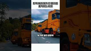 Trucks That Will Get Destroyed If They're Not In Sync #shorts #truck #danger