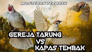 Kapas tembak vs gereja tarung jeda, kombinasi terbaik besetan tajam speed rapat incaran juri.