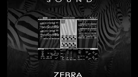 Arksun Zebra EDM Demo