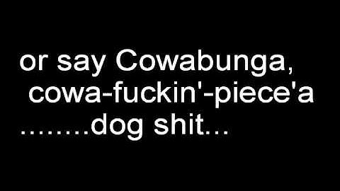 Angry Video Game Nerd Lyrics