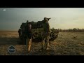 Zababben Shugaban Amurka Zai Daukaka Alkawuransa Ga Kasashe Da Gaggauta Kawo Karshen Tashin Hankula