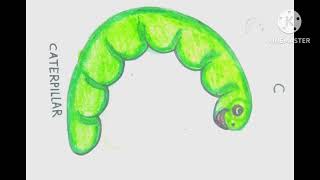Alphabet turns into images. C for Caterpillar