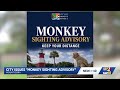 Multiple Mount Dora monkey sightings prompt advisory