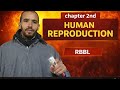Lecture no. 03 Human Female Reproductive System: Part 1st: #q2th #neet #cuet